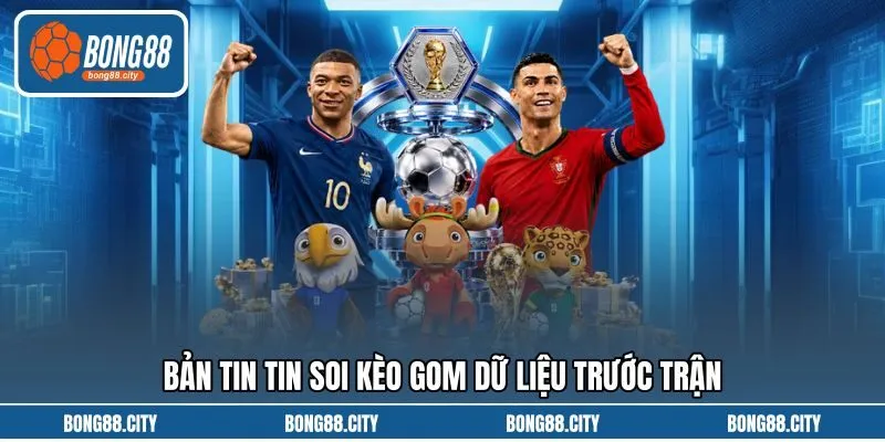 Bản tin tin soi kèo gom dữ liệu trước trận