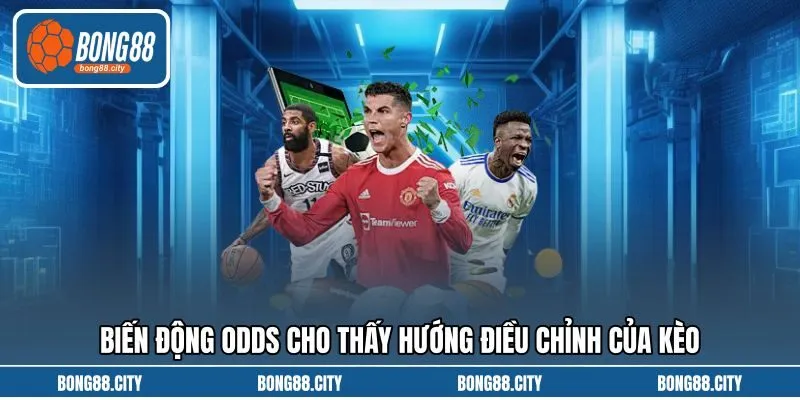 Biến động odds cho thấy hướng điều chỉnh của kèo