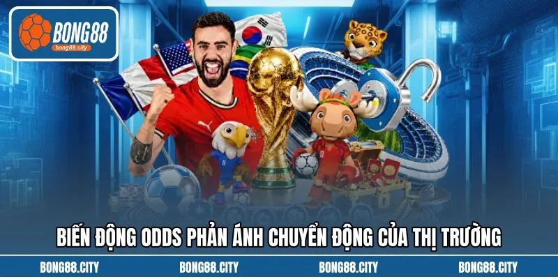 Biến động odds phản ánh chuyển động của thị trường