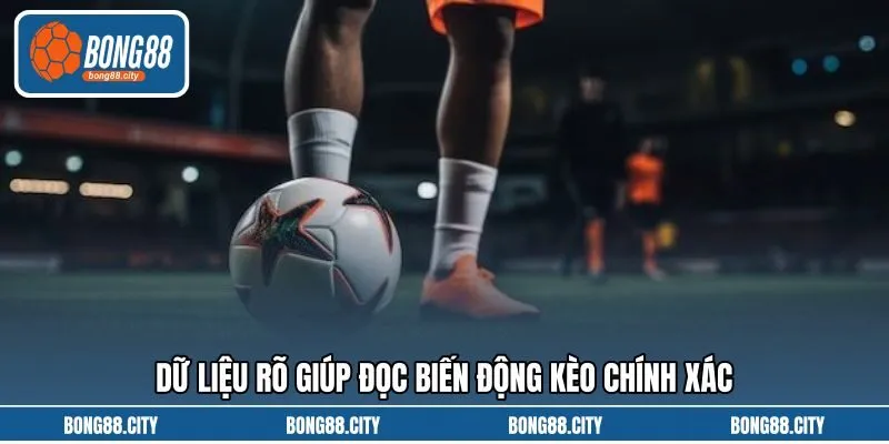 Dữ liệu rõ giúp đọc biến động kèo chính xác