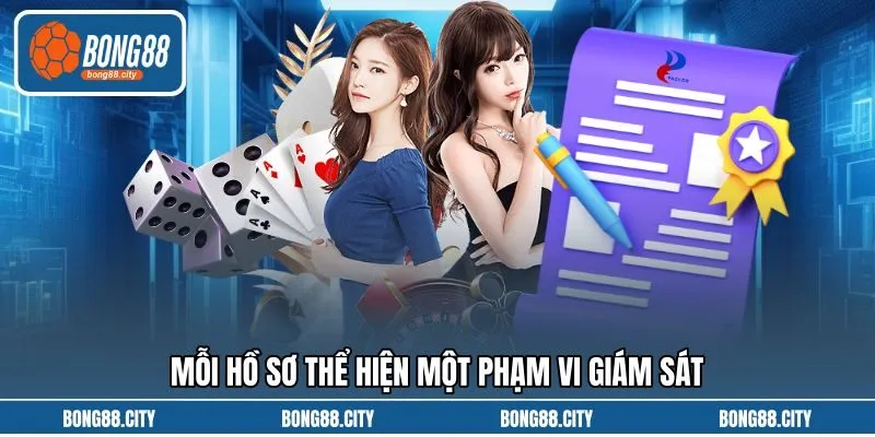 Mỗi hồ sơ thể hiện một phạm vi giám sát